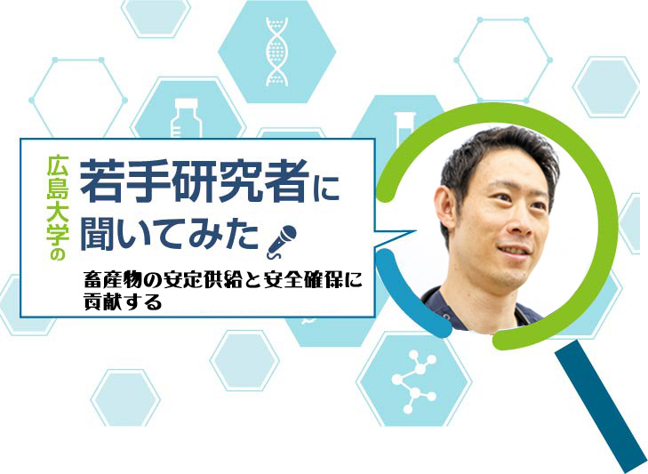 【広島大学の若手研究者】畜産物の安定供給と安全確保に貢献する