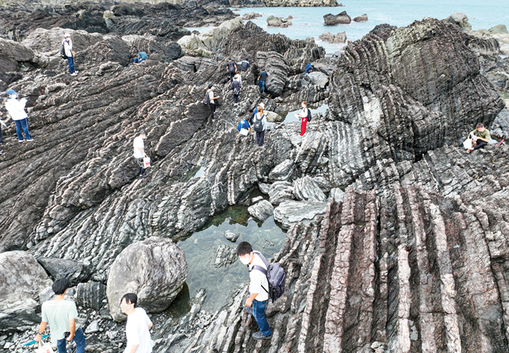 学生との野外調査風景